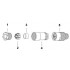 Разъем - SACC-M 8MS-3CON-M - 1681156