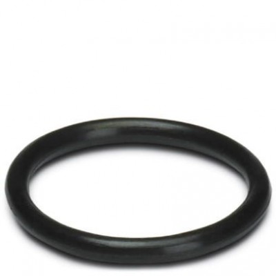 Уплотн. кольцо - WP-OR M10 - 3241187