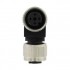Т-распределитель - SAC-4P-M12T/2XM12 CCL - 1559783