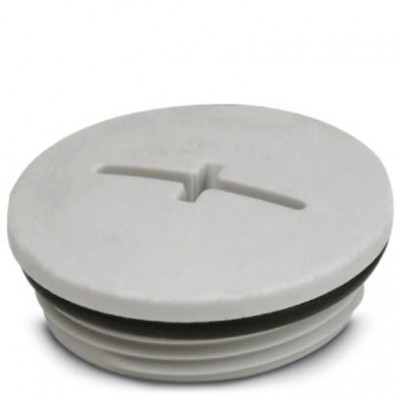 Резьбовой колпачок - A-INSP-M32-68N-P-LG - 1424521