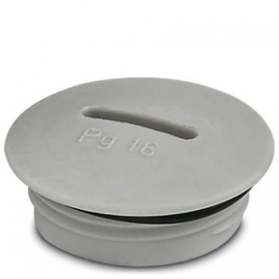 Резьбовой колпачок - A-INSP-PG21-65N-P-LG - 1424524