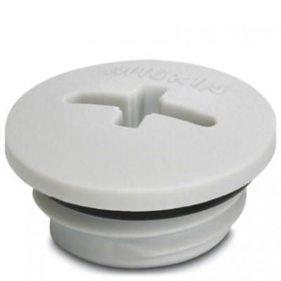 Резьбовой колпачок - A-INSP-M16-68N-P-LG - 1045818